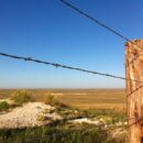 Scenic Ranch Road & Writing