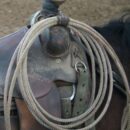 Cowboy Gear: Ropes