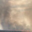 Brutal Winds & Good Grass