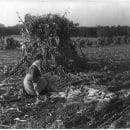 Nothing but Corn Bread